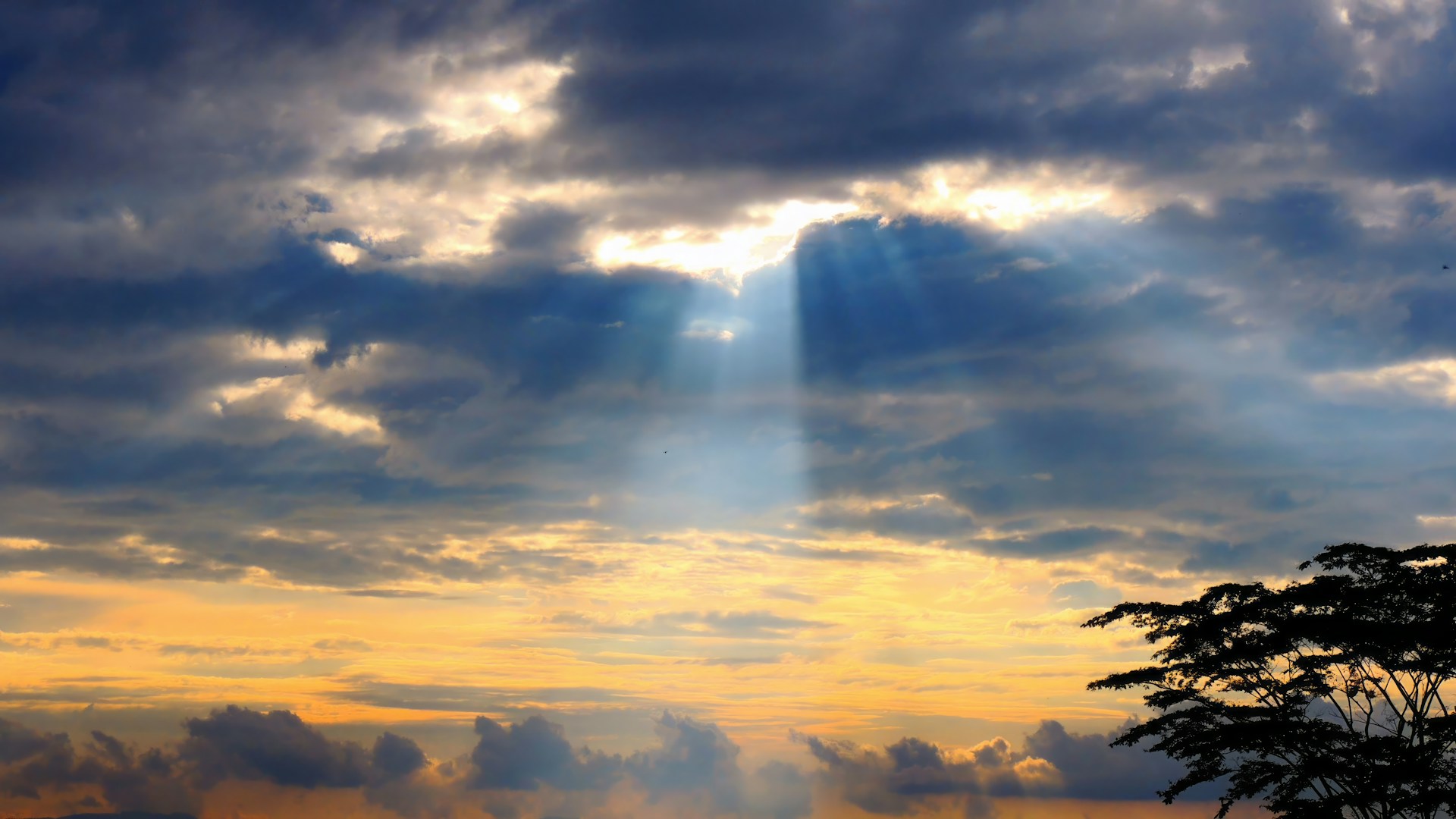 Photo by Jhonny Estrada on Unsplash